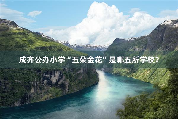 成齐公办小学“五朵金花”是哪五所学校？