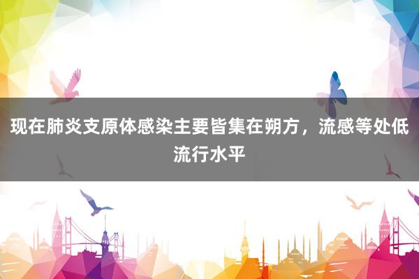 现在肺炎支原体感染主要皆集在朔方，流感等处低流行水平