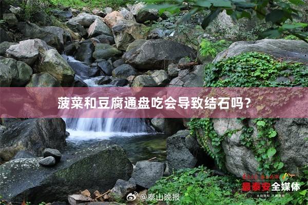 菠菜和豆腐通盘吃会导致结石吗？