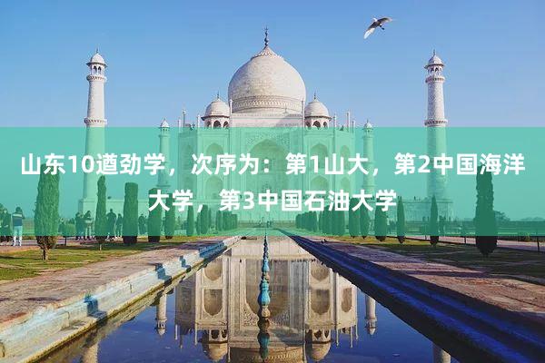 山东10遒劲学，次序为：第1山大，第2中国海洋大学，第3中国石油大学