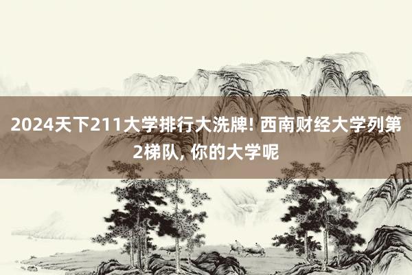 2024天下211大学排行大洗牌! 西南财经大学列第2梯队, 你的大学呢