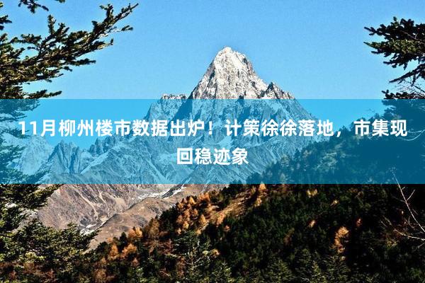 11月柳州楼市数据出炉！计策徐徐落地，市集现回稳迹象