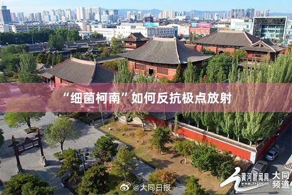 “细菌柯南”如何反抗极点放射