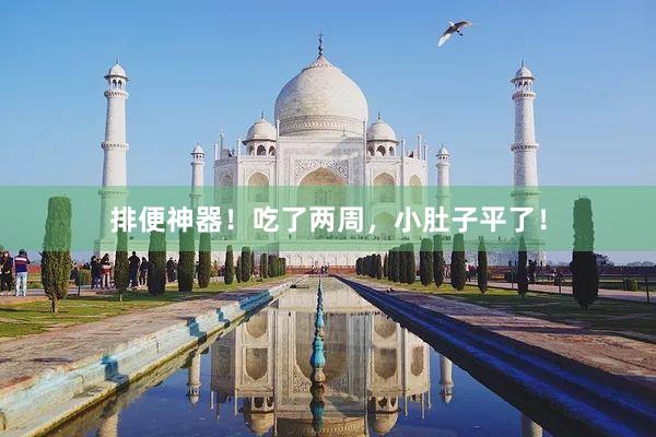 排便神器！吃了两周，小肚子平了！