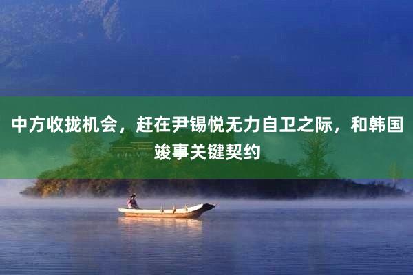 中方收拢机会，赶在尹锡悦无力自卫之际，和韩国竣事关键契约